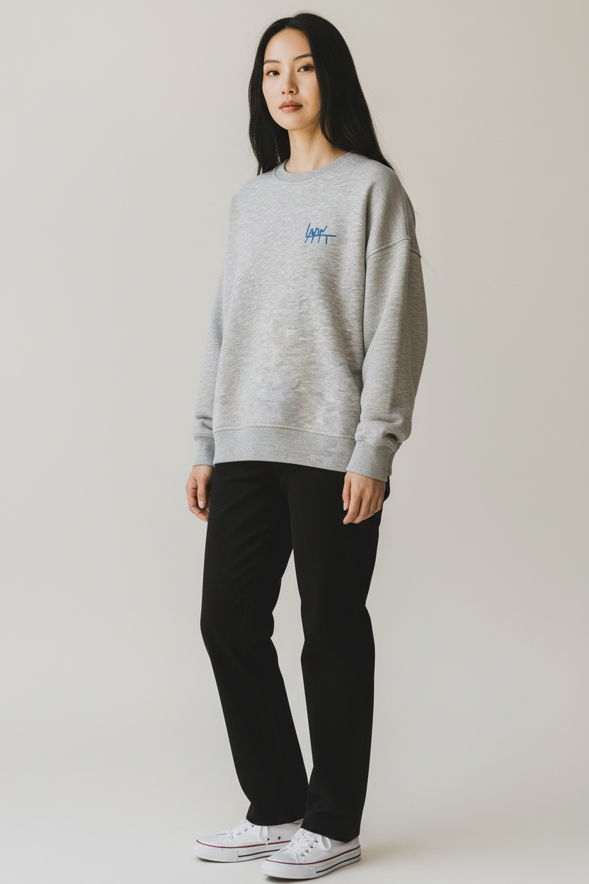 Sweat gris - broderie bleu/rouge/beige
